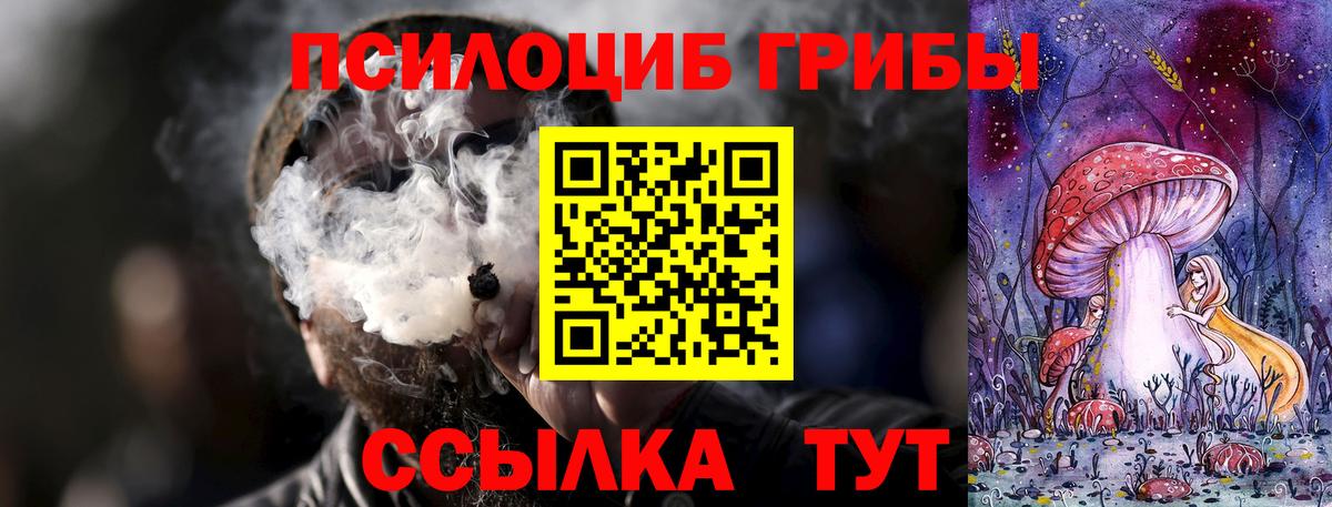 наркотики  Галлюциногенные грибы MAGIC MUSHROOMS  Вход с VPN  Глазов  Псилоцибиновые грибы мицелий 